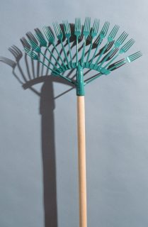 "Fork Rake" by Joy Taylor