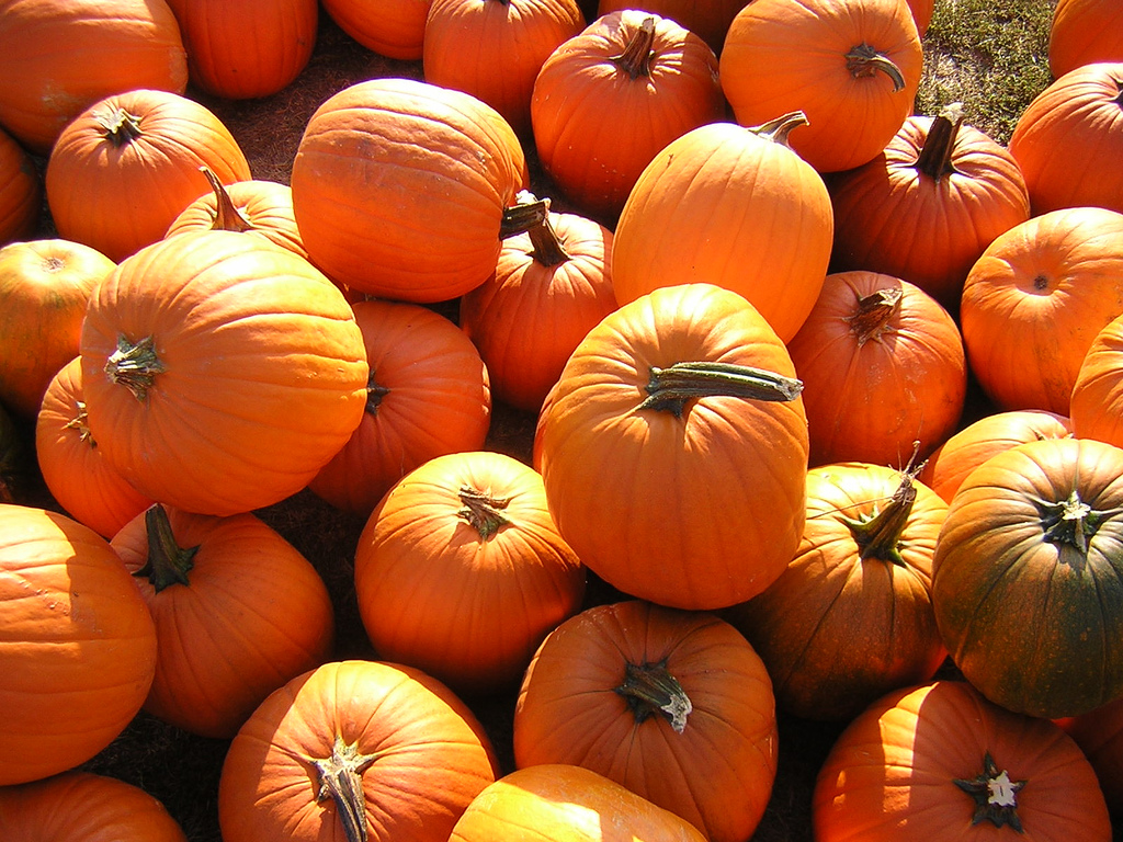 pumpkins