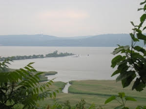 nydec