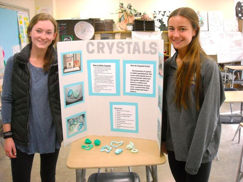 STEM Projects on Display at the 2019 Clarkstown High School North Science Fair