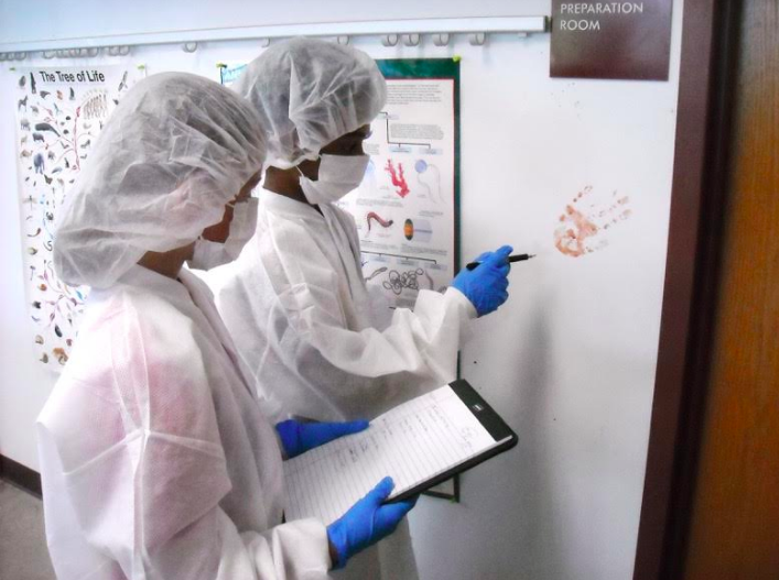 2019 Summer STEAM Camps for Middle School Students at St. Thomas Aquinas College 2019 Summer STEAM Camps for Middle School Students at St. Thomas Aquinas College