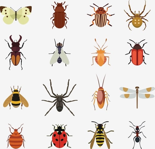 Do it Yourself Exterminating Do it Yourself Exterminating