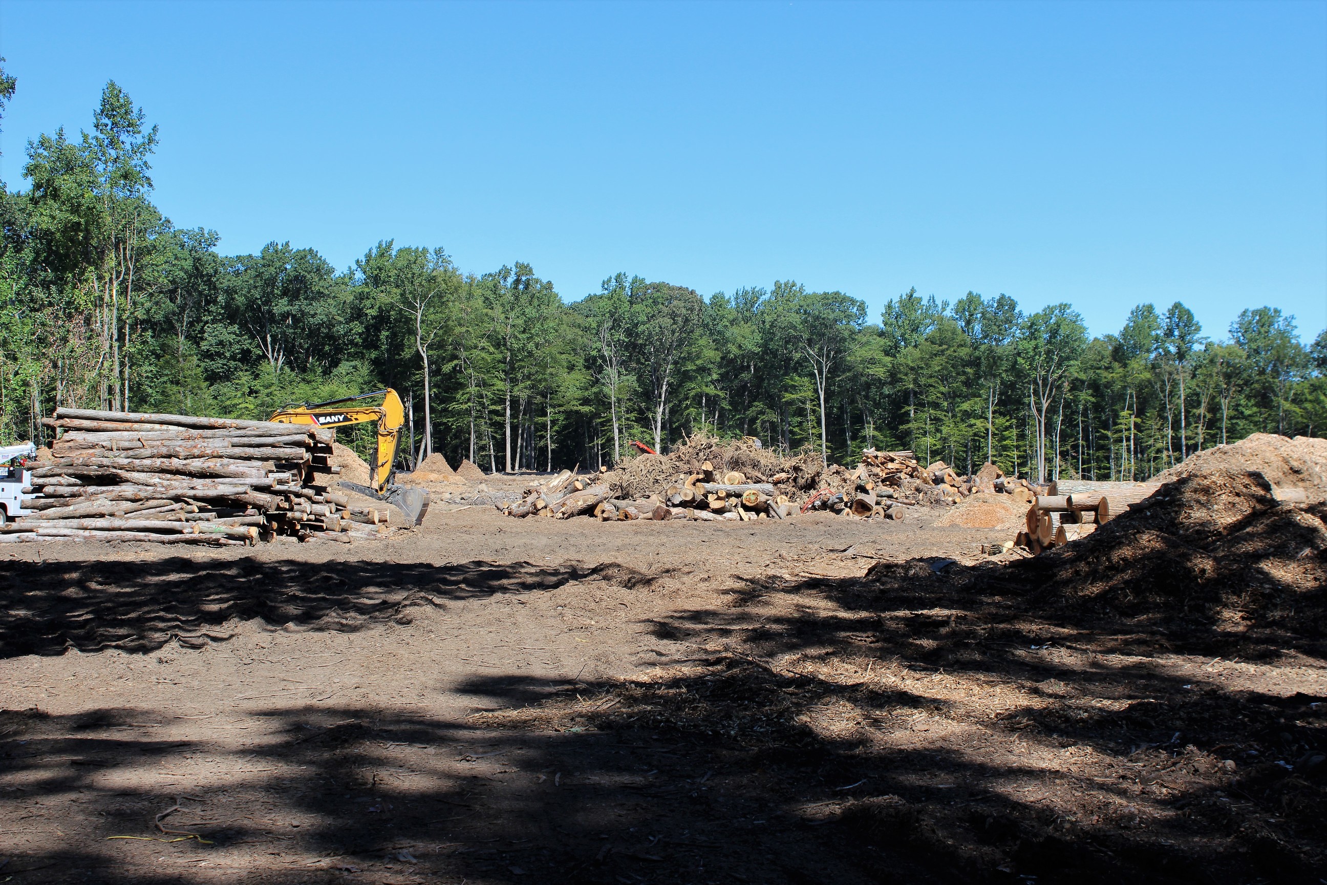 Clearing_land_for_Hasidic_cemetery1_50