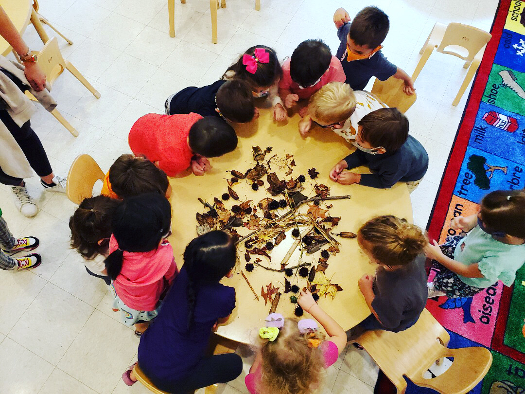 HV-Red Owl Academy kids made bird nests with the leaves, acorns and stems they found in the school’s playground.
